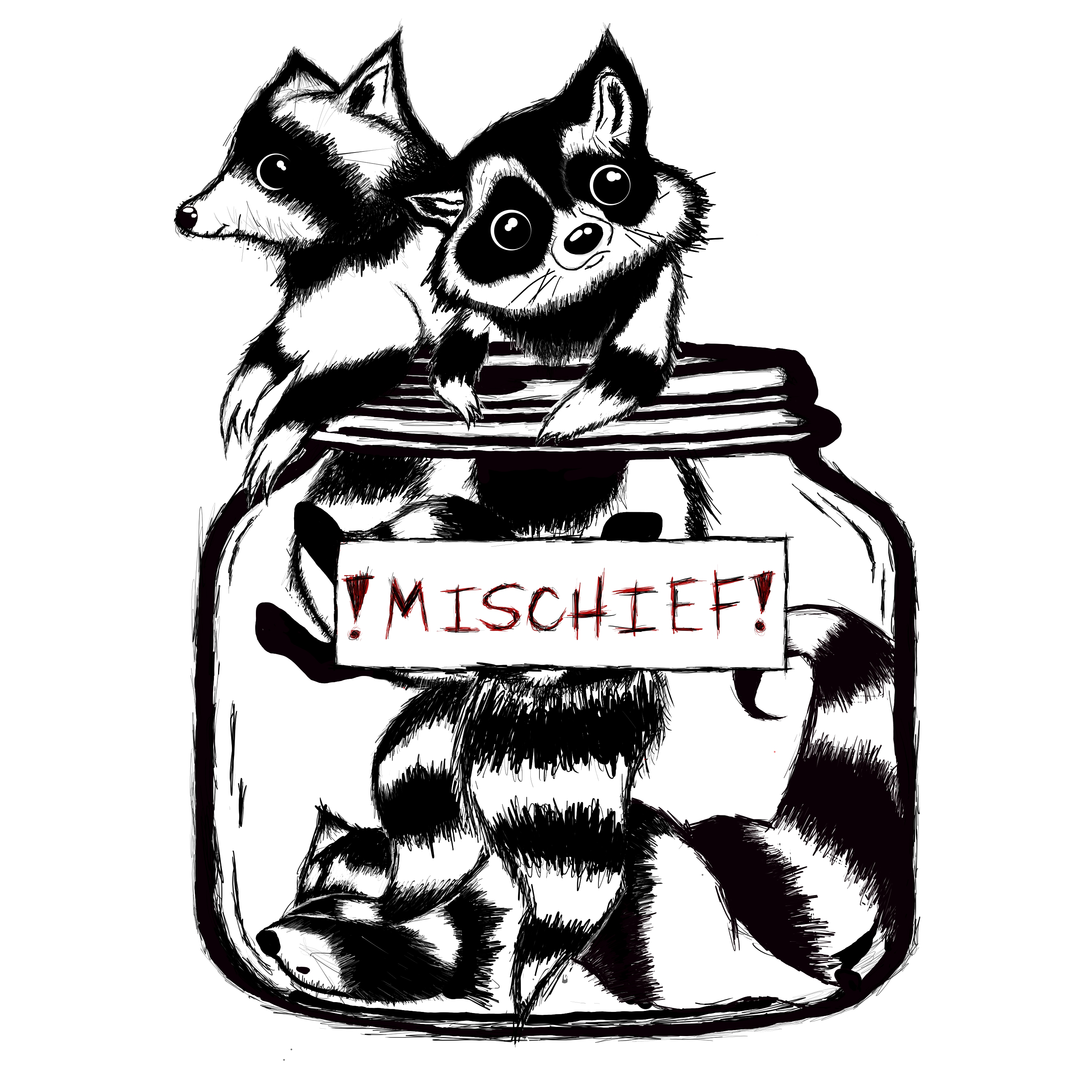 Racoon Art Work